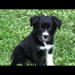 Meet your Posher, Liz